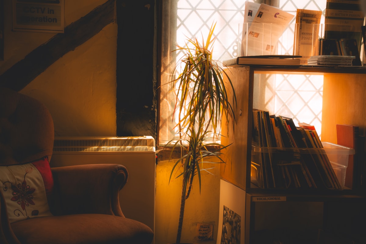 Comfortable, home-like interior